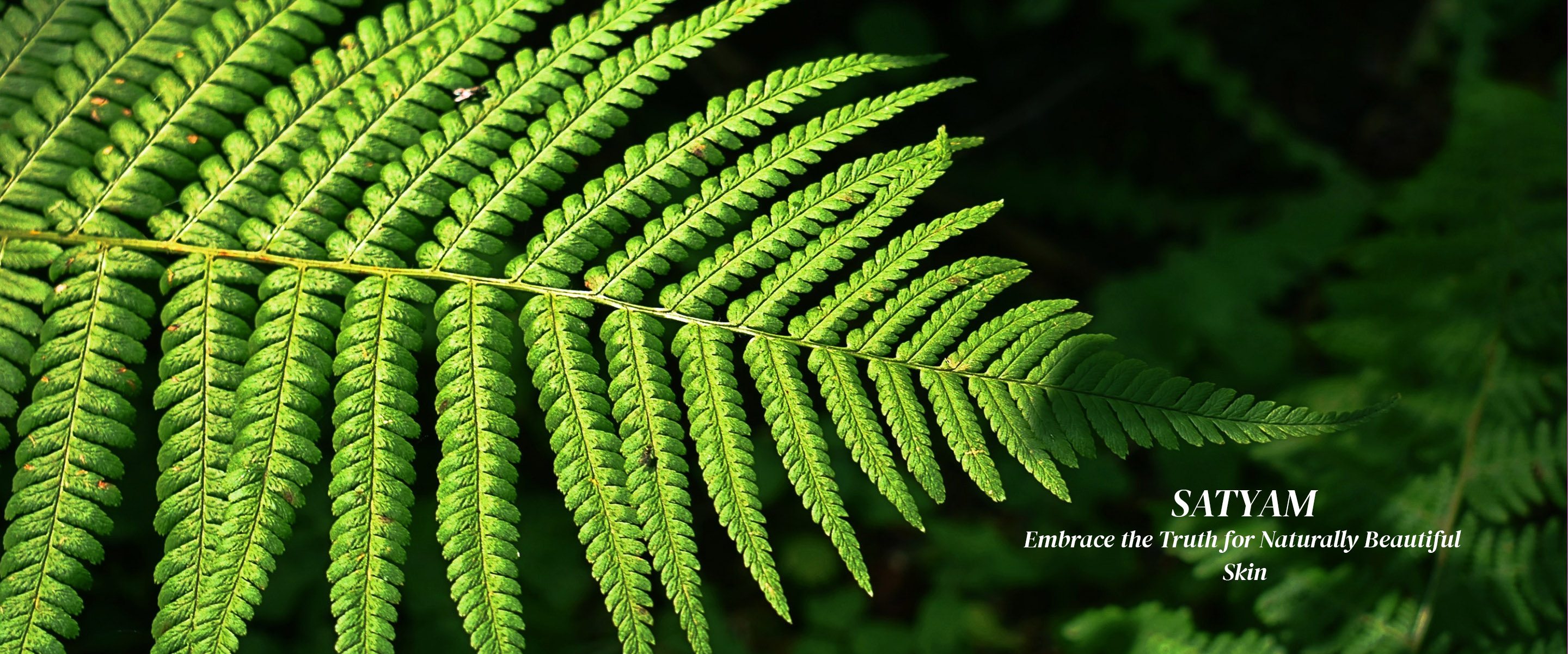 nature